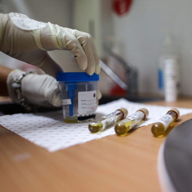 Regulatory Expertise